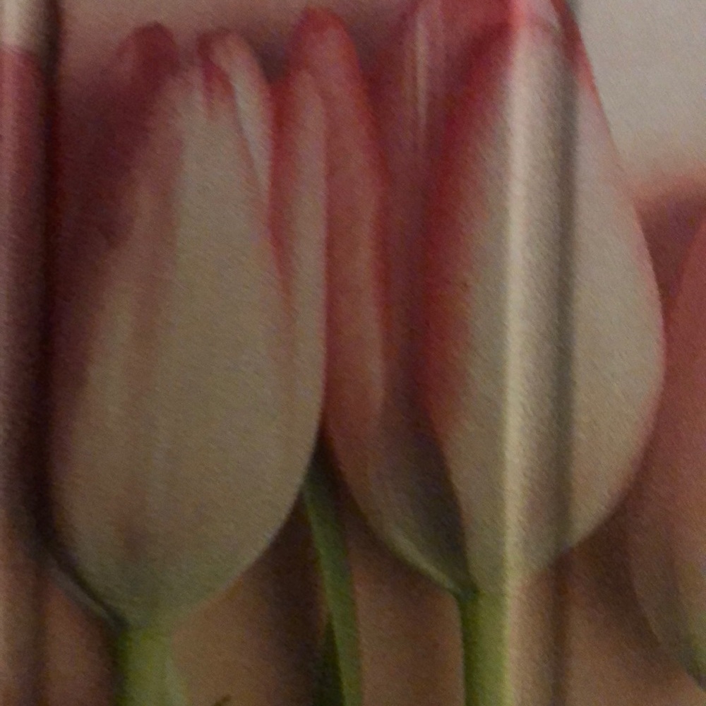 Meet your Posher, Deneen